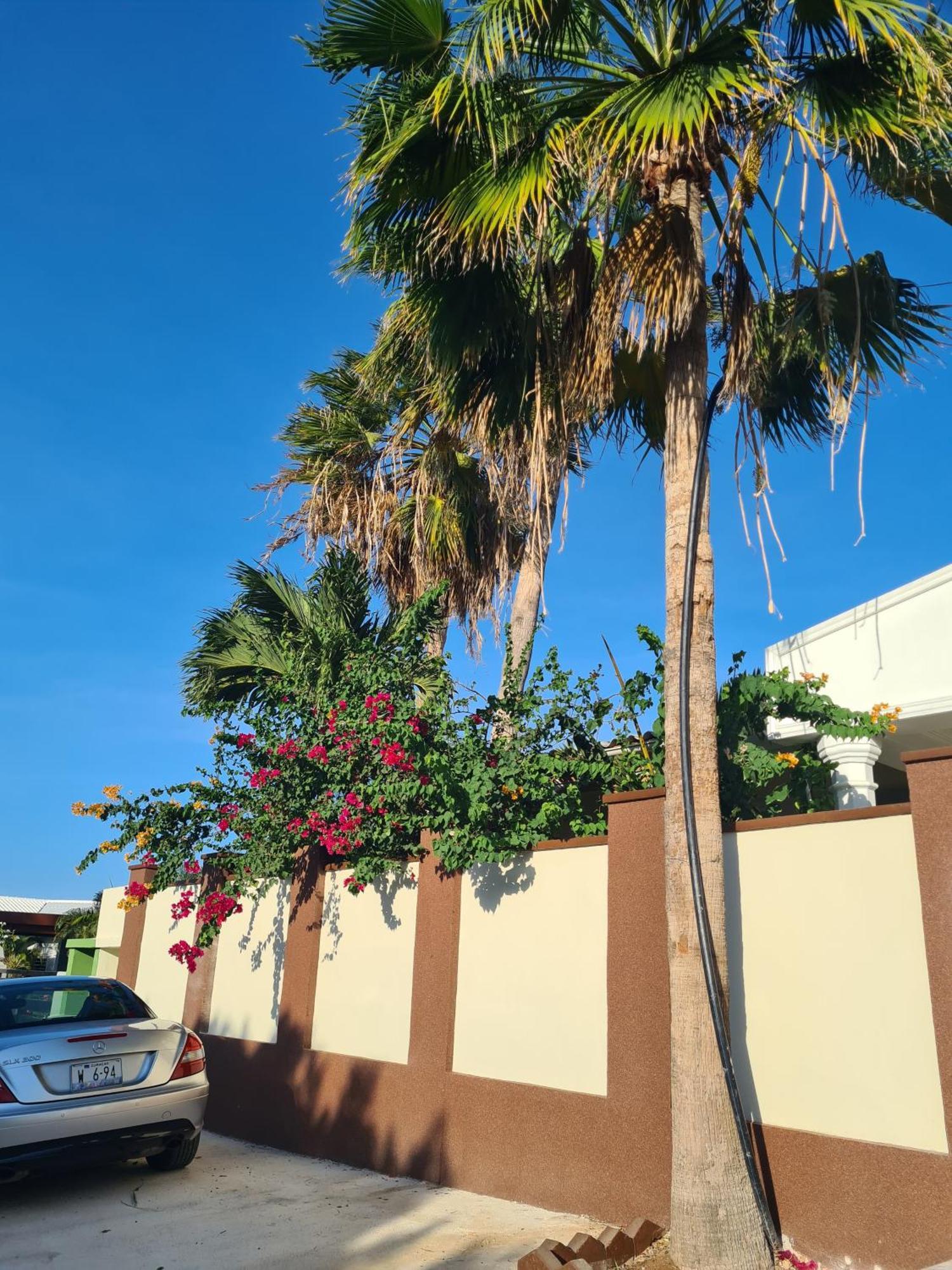 Rdr Apartments Santa Catharina Exterior photo